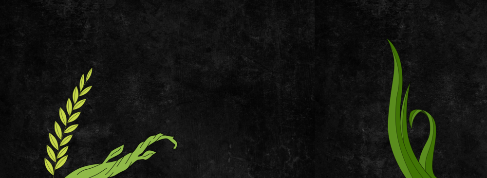 Mobile presentation 1